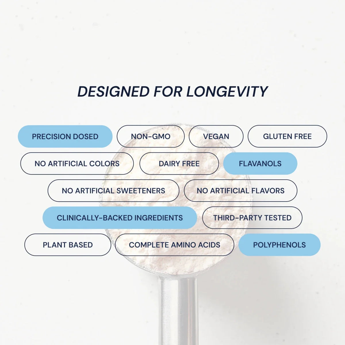 Blueprint Longevity Protein - Chocolate