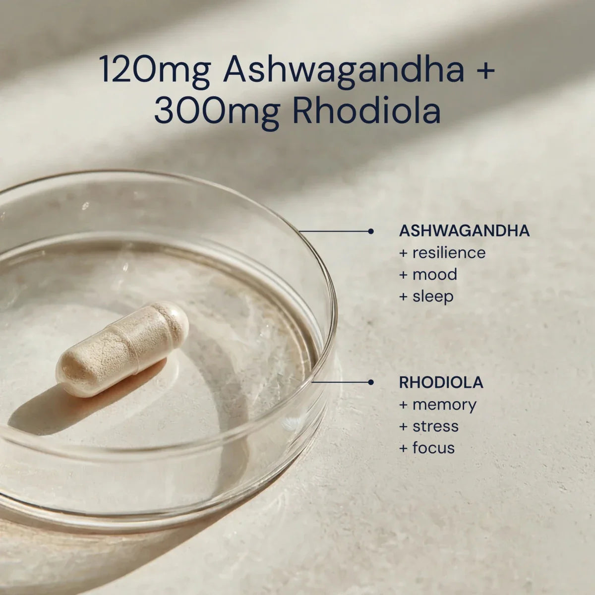 Blueprint Ashwagandha + Rhodiola
