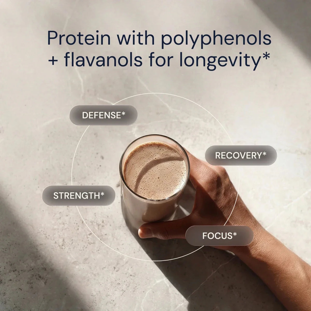 Blueprint Longevity Protein - Chocolate