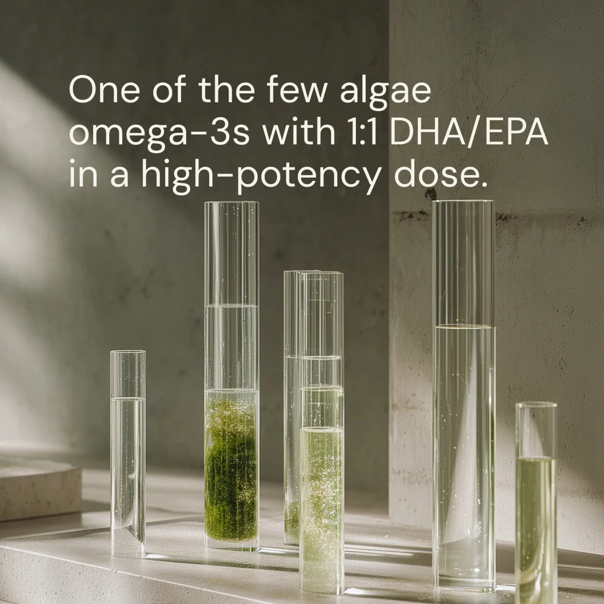 Blueprint Omega-3