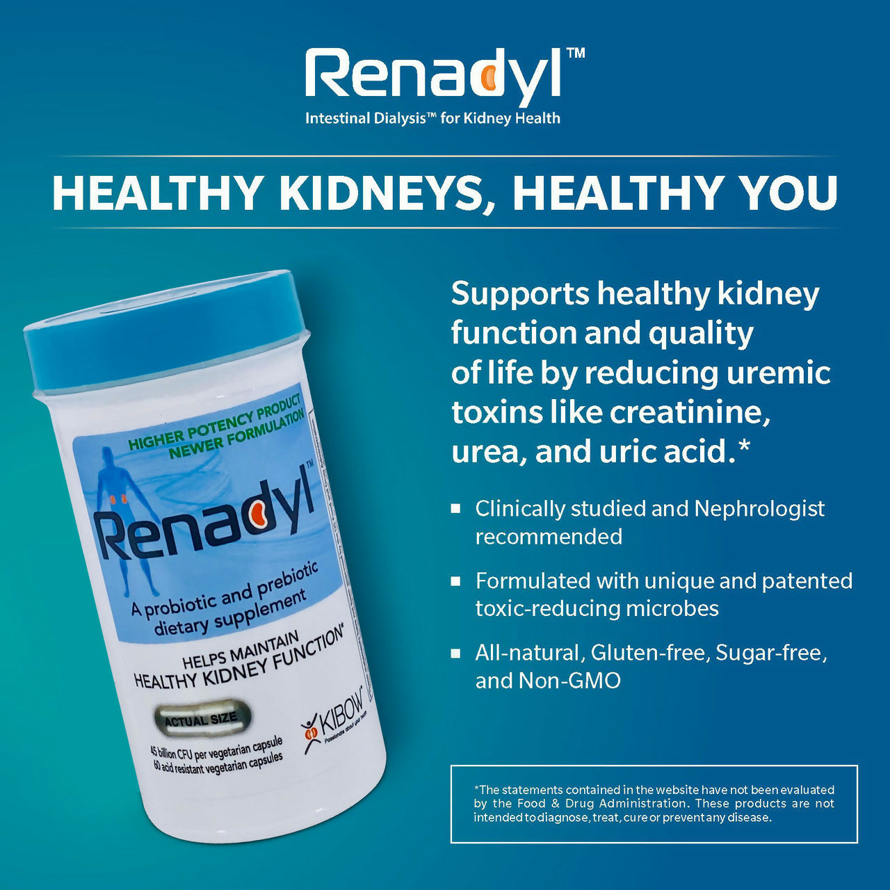 Renadyl illustration 4